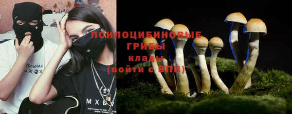 шишки Волоколамск