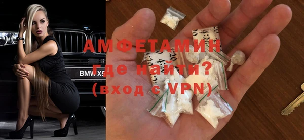 прущие грибы Вяземский