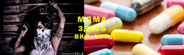 прущие грибы Вязьма