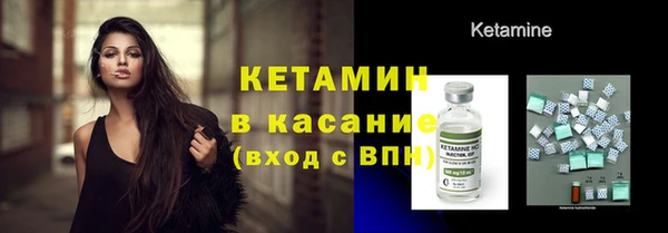 прущие грибы Вяземский