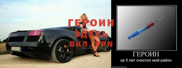прущие грибы Вязьма