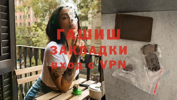 прущие грибы Вязьма
