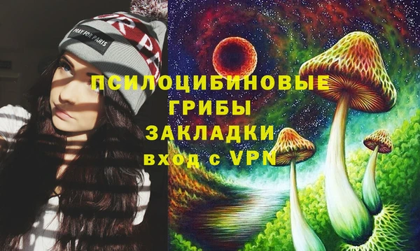 шишки Волоколамск