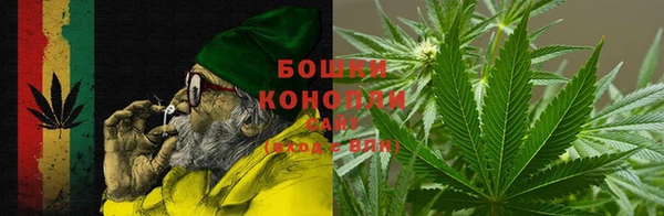 прущие грибы Вязьма