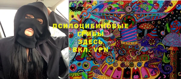 прущие грибы Вязьма