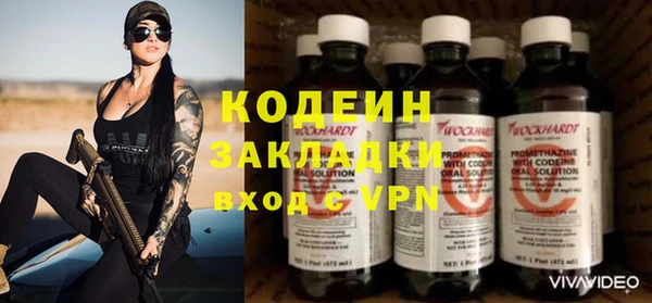 прущие грибы Вязьма