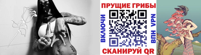 хочу наркоту Славянск-на-Кубани Галлюциногенные грибы мицелий